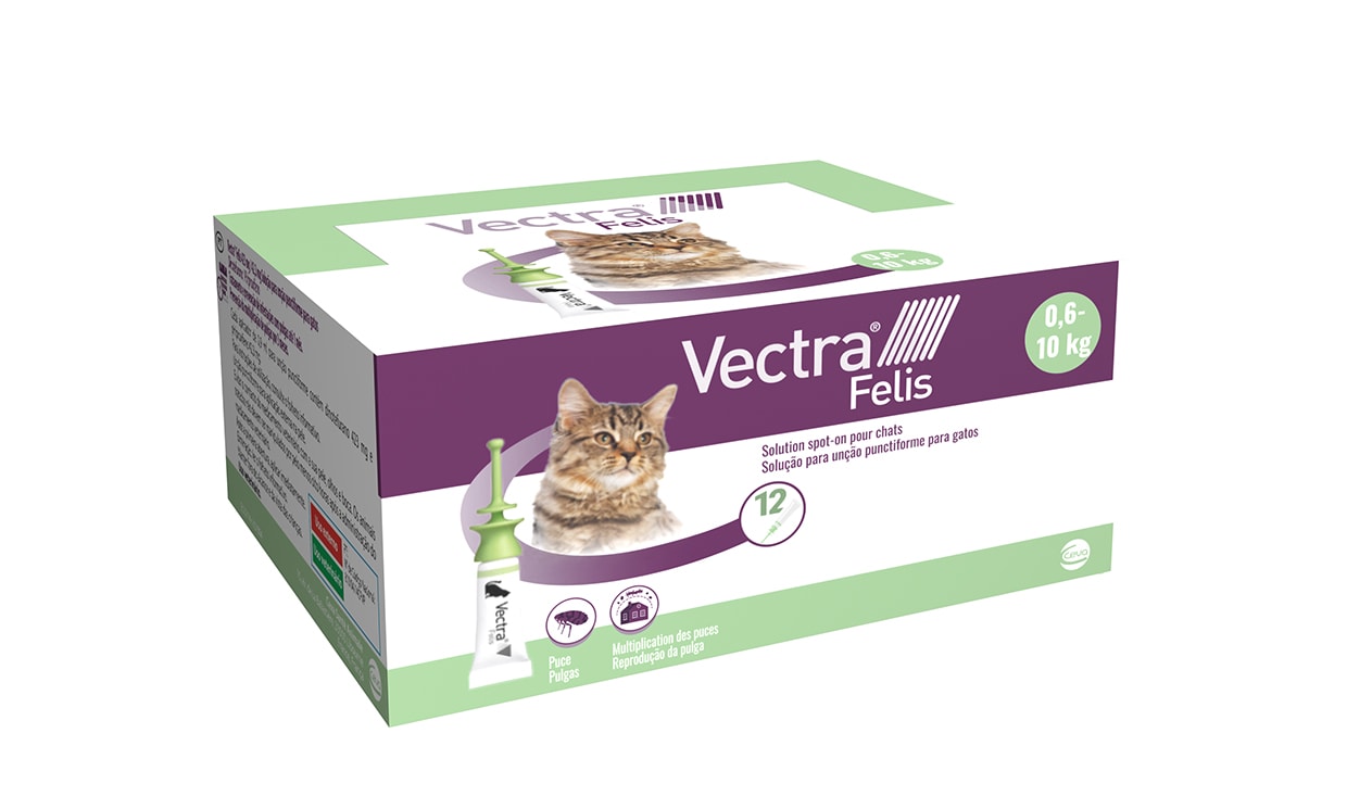Vectra Felis