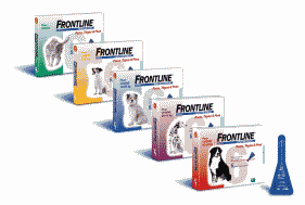 FRONTLINE