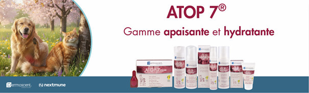 Comprendre l’allergie de mon animal et savoir comment le soulager Comprendre l’allergie de mon animal et savoir comment le soulager