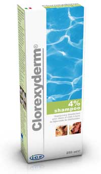 CLOREXYDERM SHAMPOOOING 4 %